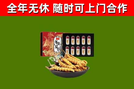 廊坊回收冬虫夏草价格