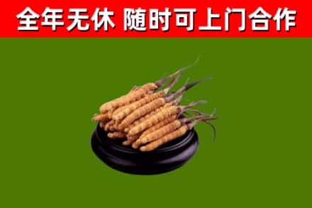 廊坊烟酒回收冬虫夏草.jpg