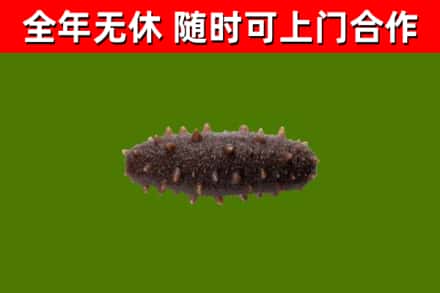 廊坊烟酒回收干海参.jpg